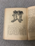 Життя Його закони і походження 1936 Послини і тварини В. Лункевич, фото №9