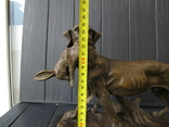 Охотничья собака с зайцем . Бронзовая скульптура. Собака Охота, фото №8