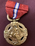 Медаль за свободу 1914-1918 років, фото №3