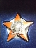 Серебряный Орден "Афганская миссия" (Комбатант), фото №13