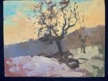 Картина. Размытый пейзаж, зимнее дерево. Картон, масло. Размер 45*35 см, фото №4