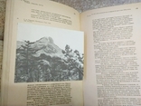 Терновец Б.Н.Письма. Дневники. Статьи 1977 г., фото №7