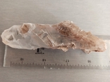 Минерал Гипс кристалл 65грамм. Л324, фото №3