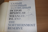 Самый Северный  Заповедный Остров Врангеля, фото №4