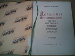 Домашнее приготовление тортов пирожных печенья пряников пирогов, фото №3