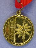 Медаль DEC (263м), фото №2