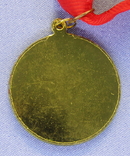 Медаль DEC (263м), фото №3