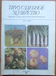 Журнал "Приусадебное хозяйство", №4 за 1986 г. Москва: Агропромиздат, 80 с., фото №2
