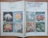 Журнал "Приусадебное хозяйство", №5 за 1986 г. Москва: Агропромиздат, 80 с., фото №7