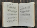 1787 Сатиры Якопо Солдани, фото №8