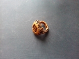 Кольцо из дерева (маньчжурский орех), photo number 2