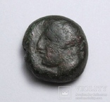 Карфаген, 400-350 до н.е. – Таніт / кінь, фото №5