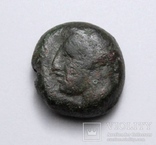 Карфаген, 400-350 до н.е. – Таніт / кінь, фото №6