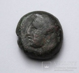 Карфаген, 400-350 до н.е. – Таніт / кінь, фото №7