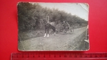 1938 год Ветеринарный врач объезжает поля в совхозе Птицетреста, фото №2