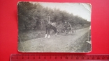 1938 год Ветеринарный врач объезжает поля в совхозе Птицетреста, фото №3