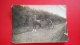 1938 год Ветеринарный врач объезжает поля в совхозе Птицетреста, фото №5