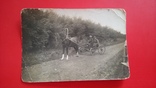 1938 год Ветеринарный врач объезжает поля в совхозе Птицетреста, фото №6