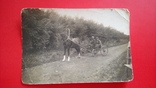 1938 год Ветеринарный врач объезжает поля в совхозе Птицетреста, фото №7