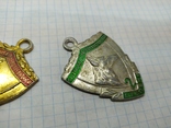 Два жетона Федерация собаководства СССР. 1 и 2 степень, фото №5