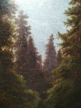 Картина. Альпійський пейзаж. Zopf J. (1838-1897). Кін. XIXст. (1185*815), фото №7