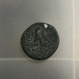 Монета Понта Амис, фото №3