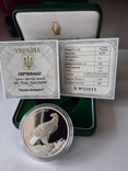 (2) Серебряная монета Орлан-белохвост 10 грн/Срібна монета Орлан-білохвіст. 2019 р, фото №2