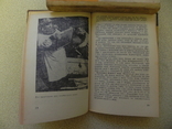 Пасіка,бджоли,мед 1974 г., фото №6