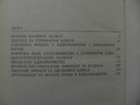 Пасіка,бджоли,мед 1974 г., фото №9