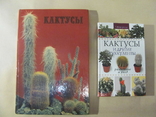 Кактусы, 4 книги, фото №2