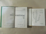 Кактусы, 4 книги, фото №8