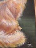 Картина маслом "Рыжая кошка" 2005 год Ткаченко, фото №4