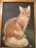 Картина маслом "Рыжая кошка" 2005 год Ткаченко, фото №5