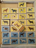 Сувенірні колекційні сірники "Службові та мисливські собаки", 26 коробків", фото №3