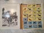 Сувенірні колекційні сірники "Службові та мисливські собаки", 26 коробків", фото №6