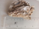 Кластер кристаллов Гипса, 469грамм. Л365, фото №5