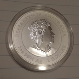 2021 г - 1 доллар Австралии,год Быка,унция серебра в капсуле, фото №4