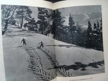 По снежным просторам. 1954г., фото №4