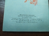 1960 Мясков. Фентезі на закарпатську тематику. Забити, фото №7