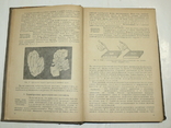 Минералогия и геология. Учебник для 10 кл. Учпредгиз. 1938, фото №6