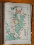 Р.Виппер.Учебник древней истории.Москва,1911, с рисунками и картами, фото №3