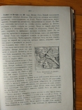 Р.Виппер.Учебник древней истории.Москва,1911, с рисунками и картами, фото №8