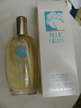 Blue gress Elizabeth Arben  100мл парфум USA, фото №6