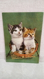 Открытка с котами и позолоченная надпись, фото №2