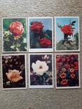 Открытки цветы 60х годов, фото №3