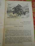 Володимир Малик. Черлені щити., numer zdjęcia 5