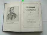 Белинский в воспоминаниях современников, фото №11