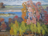 Картина художника Мынка А.Ф. 1994 года "Барви осені", фото №8
