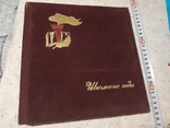 Альбом 'Школьные годы, в бархатной обложке с тиснением. СССР новый, фото №2