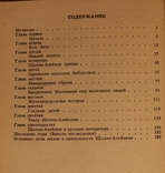 М. С. Беленький, "Биография смеха. Очерк жизни и творчества Шолом-Алейхема" (1991), фото №8